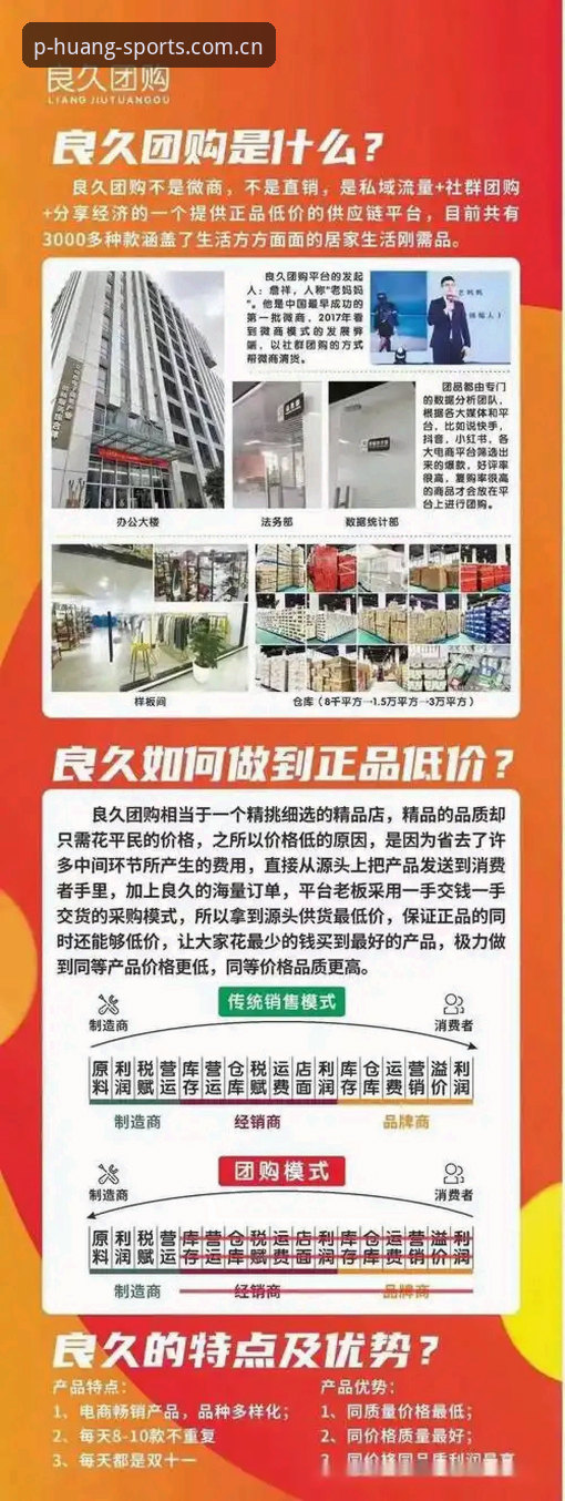深度揭秘凤凰体育更新日志：v2.0.5版本背后的技术优化与用户痛点解决全记录